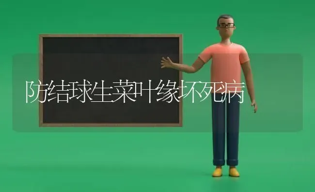 防结球生菜叶缘坏死病 | 蔬菜种植