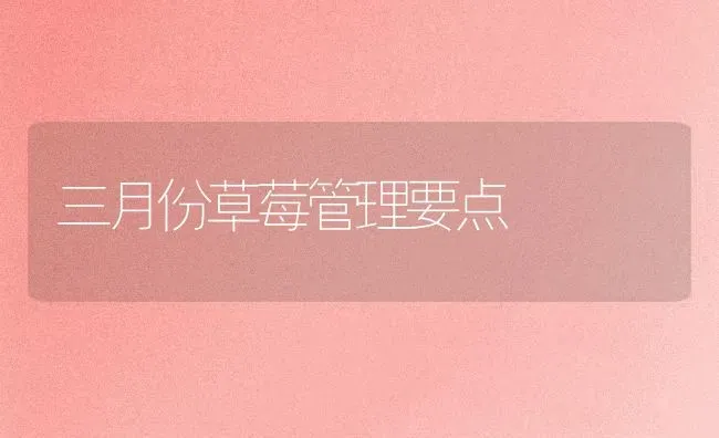 三月份草莓管理要点 | 瓜果种植