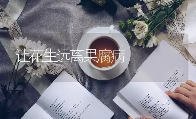 无籽西瓜新品种“暑宝”的引进及高产栽培技术 | 瓜果种植