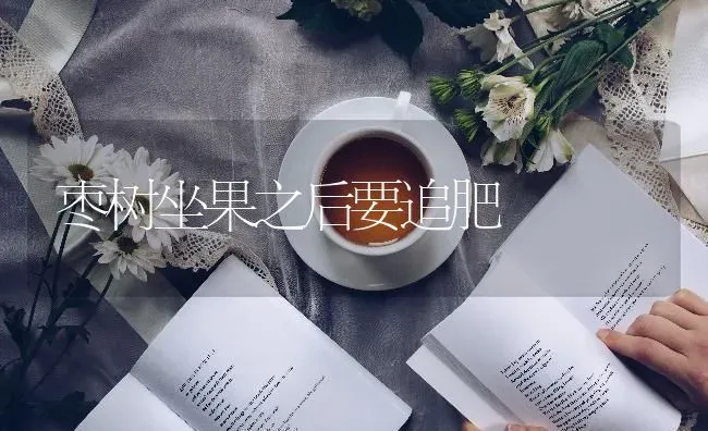 枣树坐果之后要追肥 | 瓜果种植