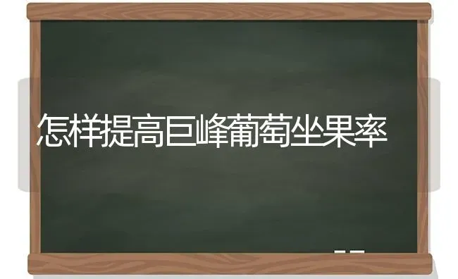 怎样提高巨峰葡萄坐果率 | 瓜果种植
