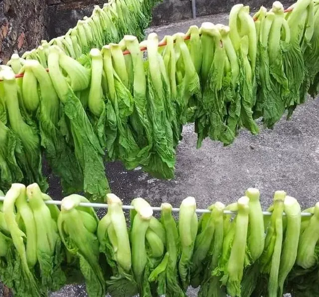 种植管理|叶用芥菜怎样种植与田间管理技术，芥菜怎么种才能长好）