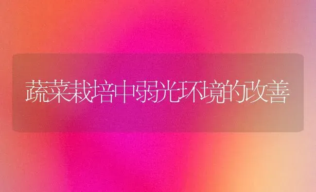 蔬菜栽培中弱光环境的改善 | 蔬菜种植