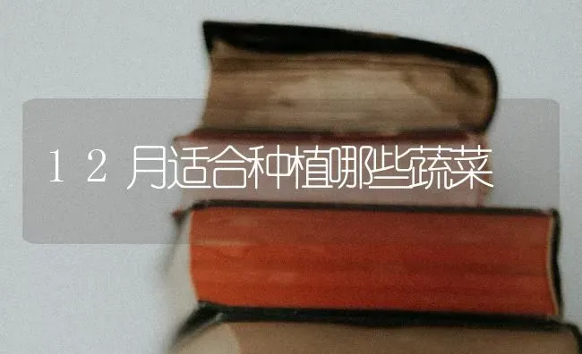 12月适合种植哪些蔬菜 | 蔬菜种植