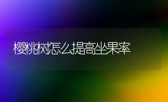 樱桃树怎么提高坐果率 | 瓜果种植