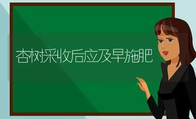 杏树采收后应及早施肥 | 种植肥料施肥