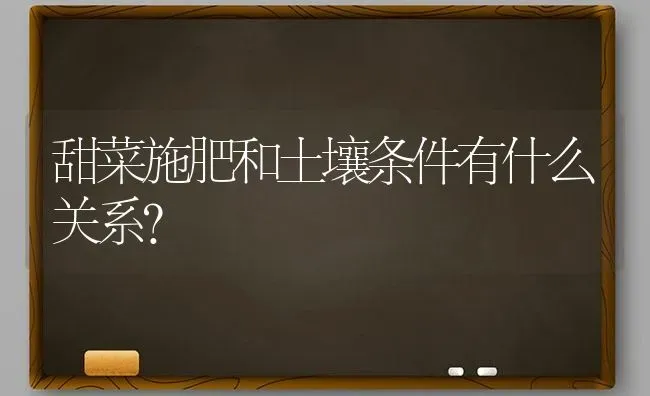 甜菜施肥和土壤条件有什么关系？ | 种植肥料施肥