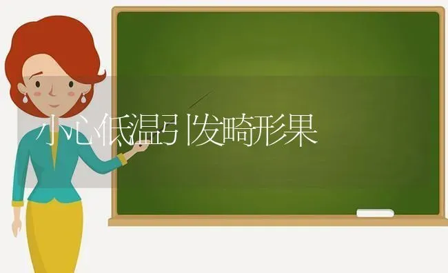 小心低温引发畸形果 | 瓜果种植