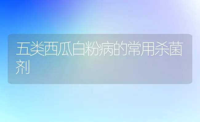 五类西瓜白粉病的常用杀菌剂 | 瓜果种植