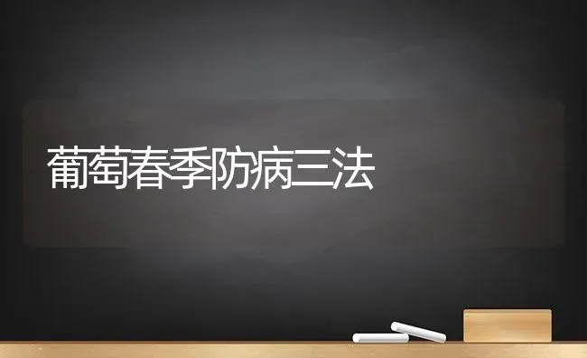 葡萄春季防病三法 | 瓜果种植