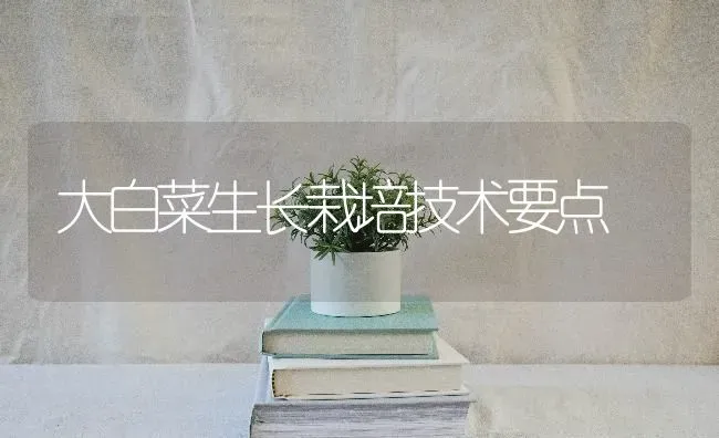 大白菜生长栽培技术要点 | 蔬菜种植