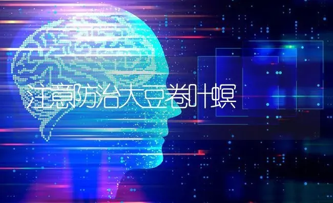 注意防治大豆卷叶螟 | 粮油作物种植