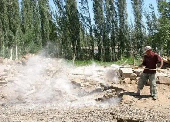 种植管理|一亩地用多少生石灰最好 生石灰消毒每亩用量多少合适