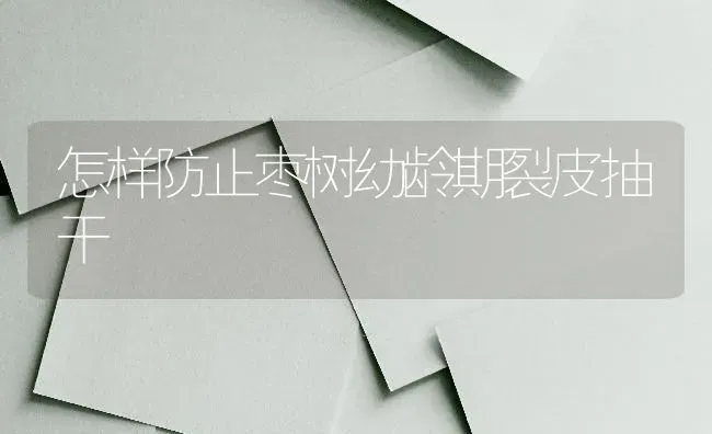 怎样防止枣树幼龄期裂皮抽干 | 瓜果种植