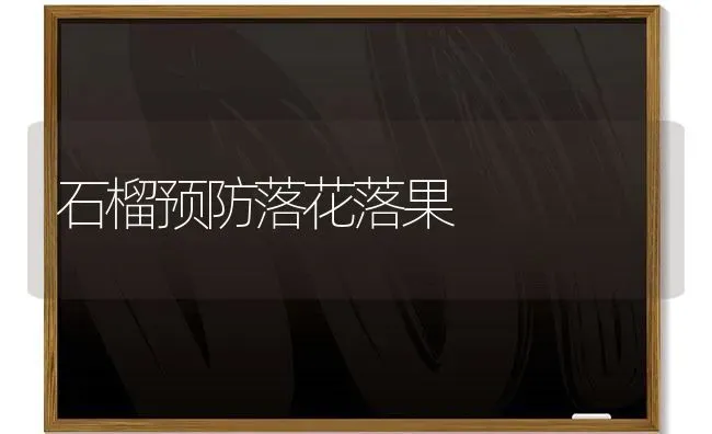 石榴预防落花落果 | 瓜果种植