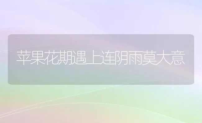 苹果花期遇上连阴雨莫大意 | 瓜果种植