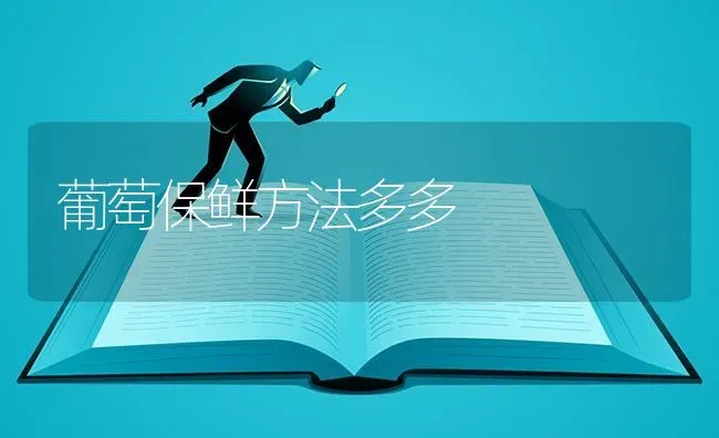 葡萄保鲜方法多多 | 瓜果种植