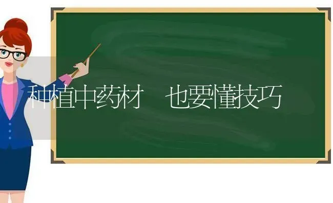 种植中药材 也要懂技巧 | 药材种植