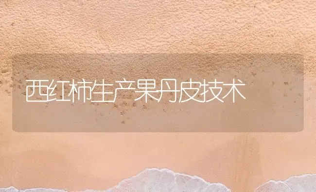 西红柿生产果丹皮技术 | 瓜果种植