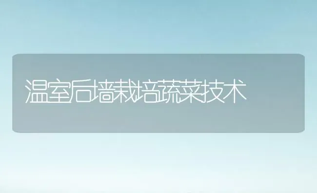 温室后墙栽培蔬菜技术 | 蔬菜种植
