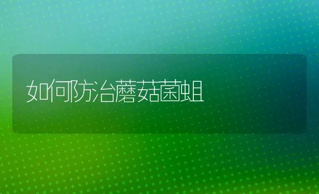 如何防治蘑菇菌蛆 | 食用菌种植