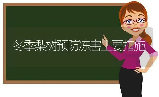 冬季梨树预防冻害主要措施 | 瓜果种植