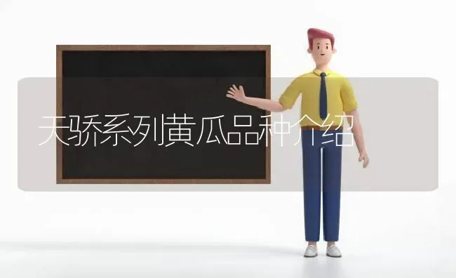 天骄系列黄瓜品种介绍 | 蔬菜种植