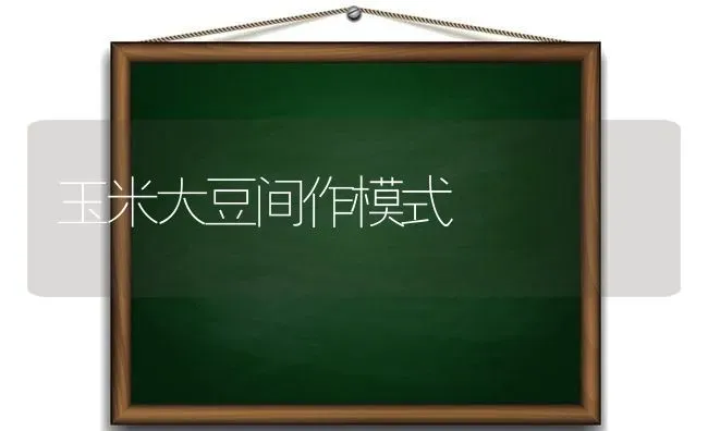 玉米大豆间作模式 | 粮油作物种植