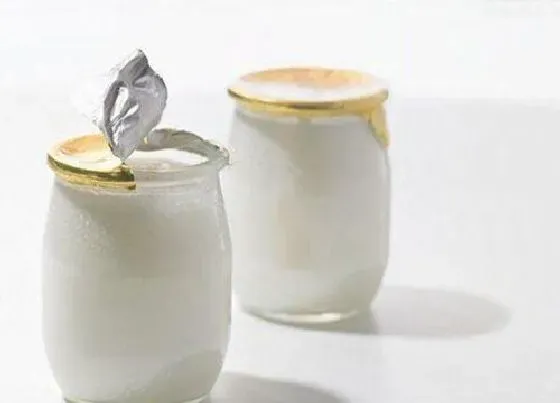 植物施肥|酸奶可以做肥料吗