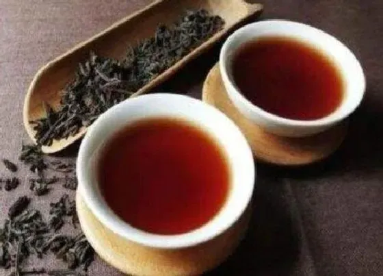 食用常识|六堡茶属于什么茶类 六堡茶冲泡方法及功效作用