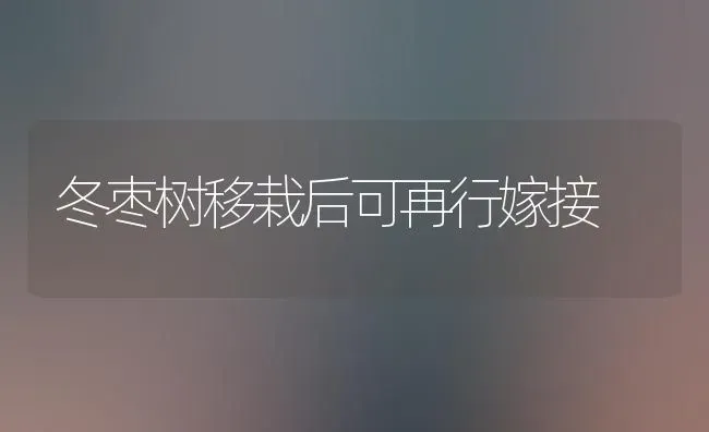 冬枣树移栽后可再行嫁接 | 瓜果种植