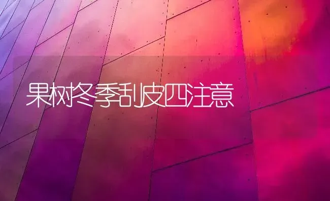 果树冬季刮皮四注意 | 瓜果种植