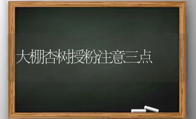 金丝蜜枣加工制作工艺 | 瓜果种植