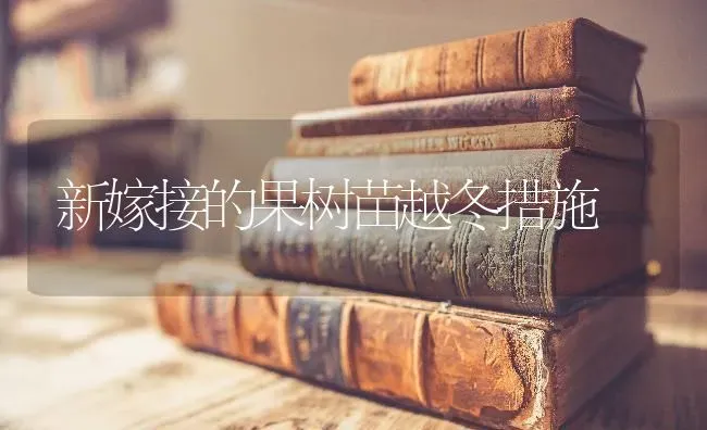 新嫁接的果树苗越冬措施 | 瓜果种植