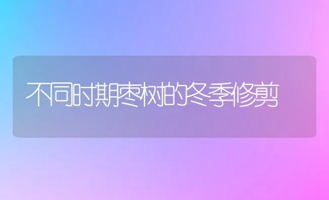 不同时期枣树的冬季修剪 | 瓜果种植