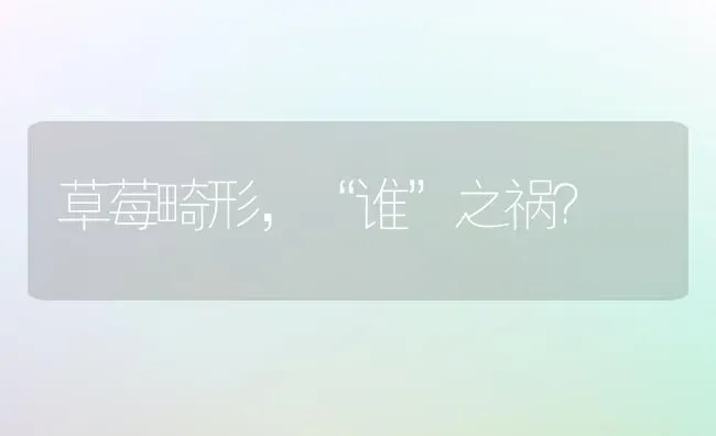 草莓畸形，“谁”之祸？ | 瓜果种植