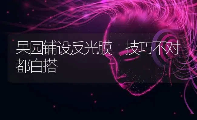 果园铺设反光膜 技巧不对都白搭 | 瓜果种植