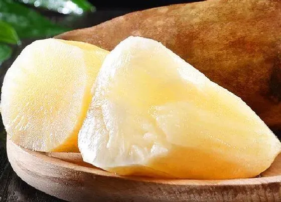 食用科普|雪莲果可以生吃吗