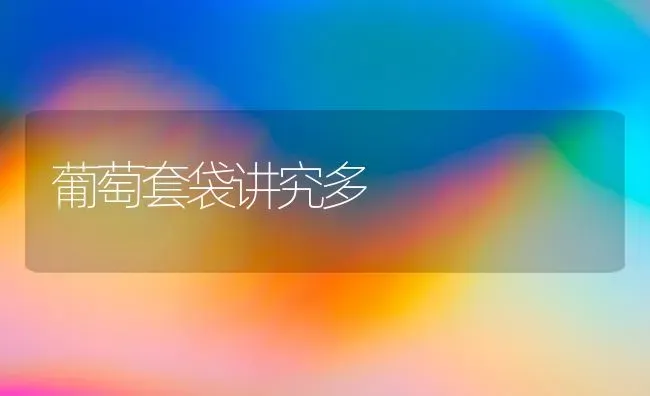葡萄套袋讲究多 | 瓜果种植