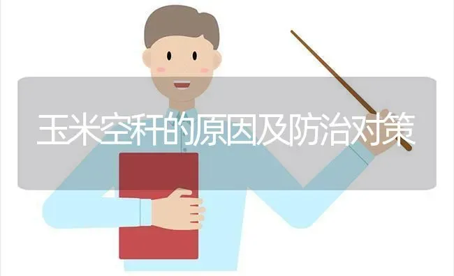 玉米空秆的原因及防治对策 | 粮油作物种植