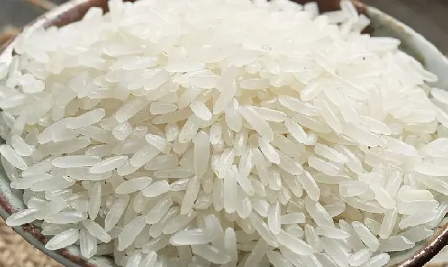 食用科普|中国最好吃的大米排行榜（全国品牌优质大米是哪里产的）