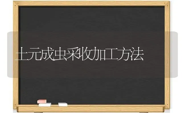 大球盖菇竹林套种高产栽培管理技术 | 食用菌种植