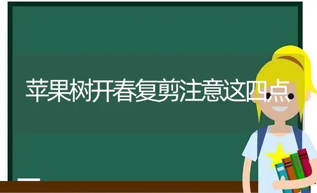 苹果树开春复剪注意这四点 | 瓜果种植