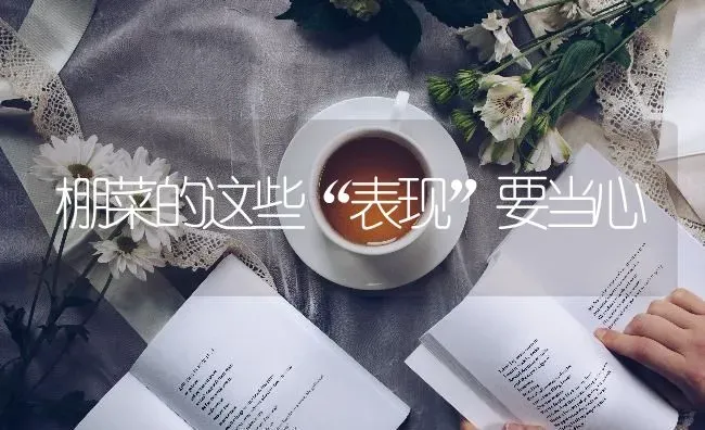 棚菜的这些“表现”要当心 | 蔬菜种植