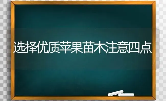 选择优质苹果苗木注意四点 | 瓜果种植