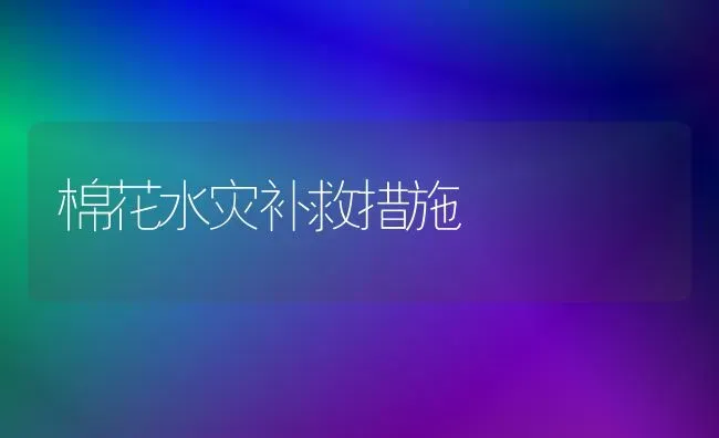棉花水灾补救措施 | 粮油作物种植
