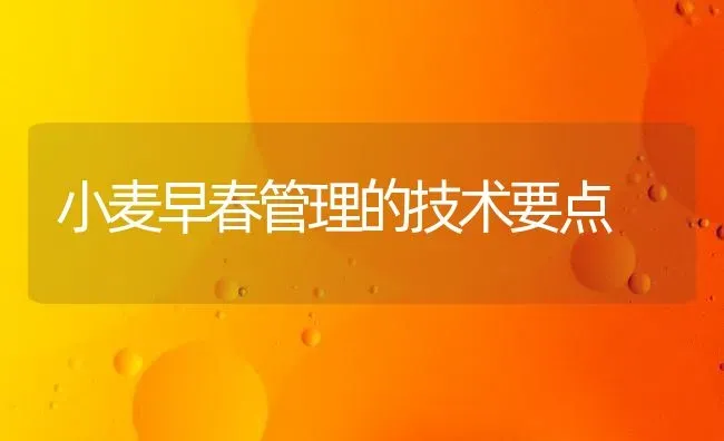 小麦早春管理的技术要点 | 粮油作物种植