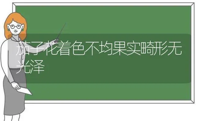 茄子花着色不均果实畸形无光泽 | 瓜果种植