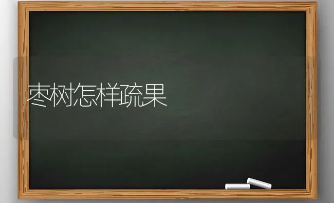 枣树怎样疏果 | 瓜果种植