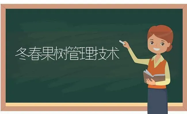 冬春果树管理技术 | 瓜果种植